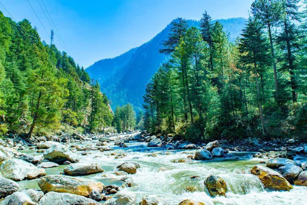 Travel Life Freedom